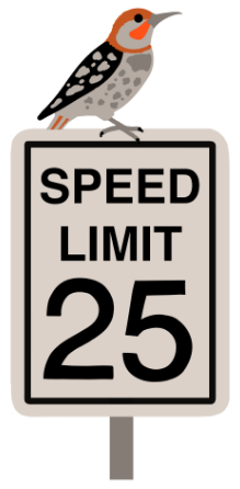 25 Miles Per Hour Speed Limit Sign